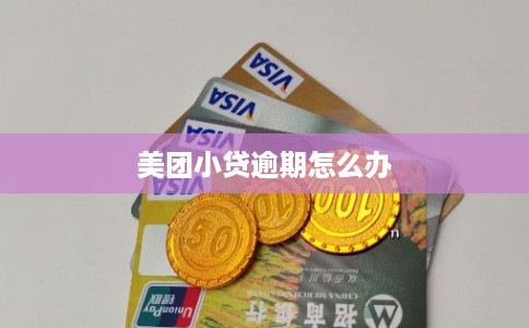 美团小贷逾期怎么办