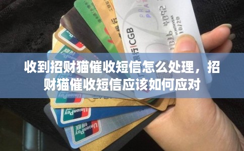收到招财猫催收短信怎么处理，招财猫催收短信应该如何应对