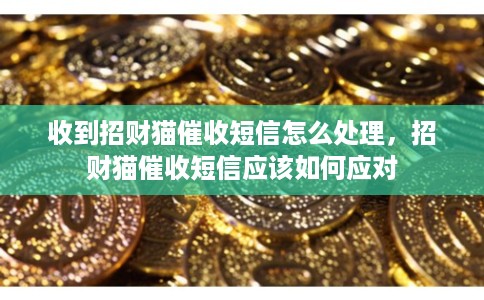 收到招财猫催收短信怎么处理，招财猫催收短信应该如何应对