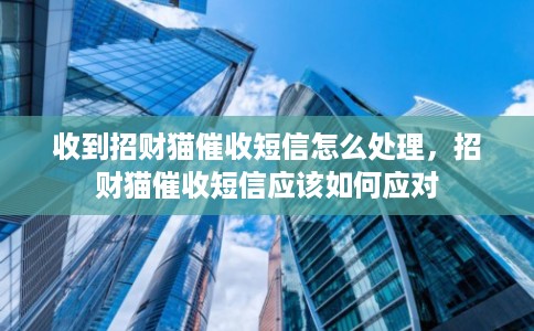 收到招财猫催收短信怎么处理，招财猫催收短信应该如何应对