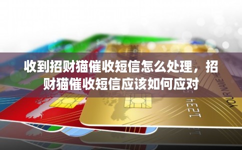 收到招财猫催收短信怎么处理，招财猫催收短信应该如何应对