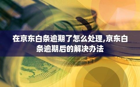 在京东白条逾期了怎么处理,京东白条逾期后的解决办法
