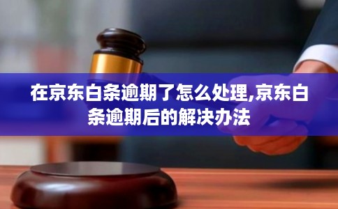在京东白条逾期了怎么处理,京东白条逾期后的解决办法