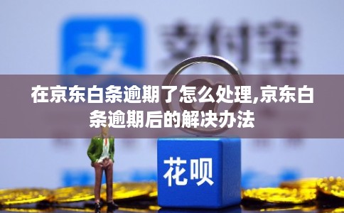在京东白条逾期了怎么处理,京东白条逾期后的解决办法