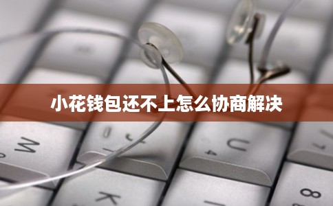 小花钱包还不上怎么协商解决