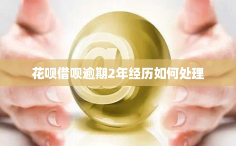 花呗借呗逾期2年经历如何处理