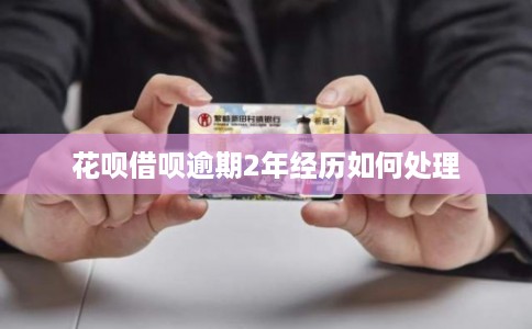花呗借呗逾期2年经历如何处理