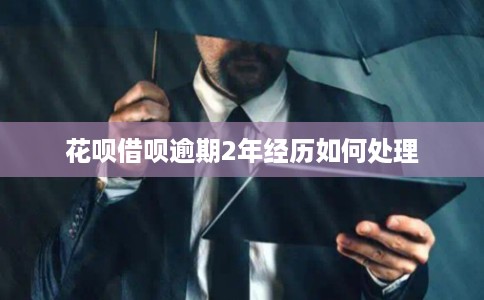 花呗借呗逾期2年经历如何处理