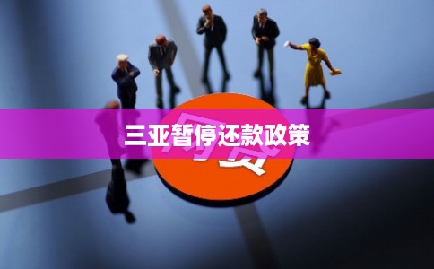 三亚暂停还款政策