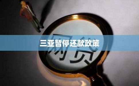 三亚暂停还款政策