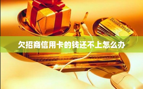 欠招商信用卡的钱还不上怎么办