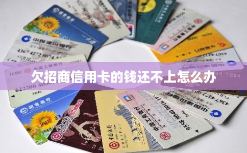 欠招商信用卡的钱还不上怎么办
