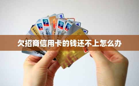欠招商信用卡的钱还不上怎么办