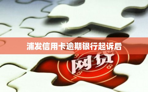 浦发信用卡逾期银行起诉后