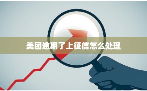 美团逾期了上征信怎么处理