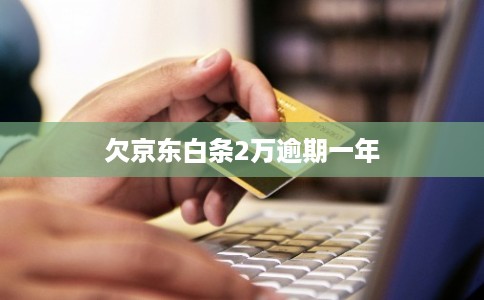 欠京东白条2万逾期一年