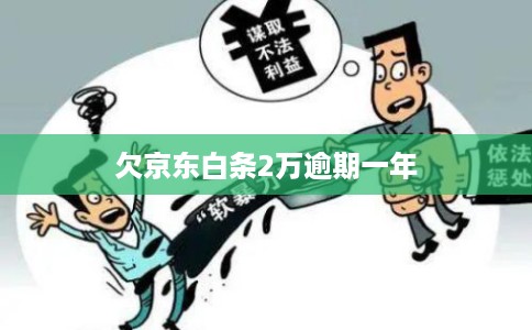 欠京东白条2万逾期一年
