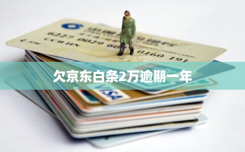 欠京东白条2万逾期一年