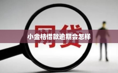 小金桔借款逾期会怎样