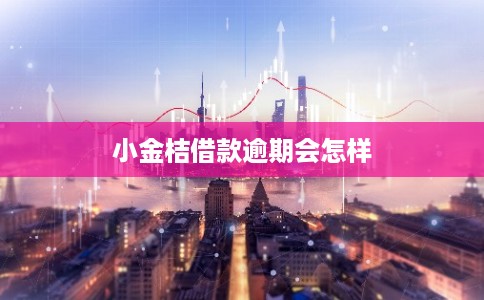 小金桔借款逾期会怎样