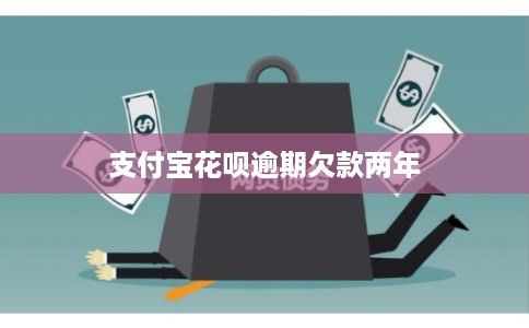支付宝花呗逾期欠款两年