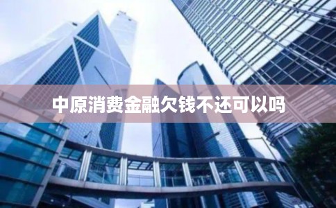 中原消费金融欠钱不还可以吗