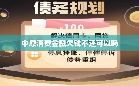 中原消费金融欠钱不还可以吗