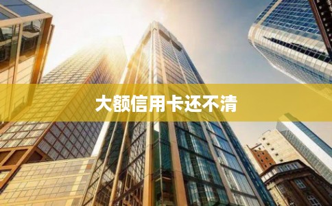 大额信用卡还不清