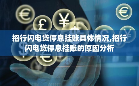 招行闪电贷停息挂账具体情况,招行闪电贷停息挂账的原因分析
