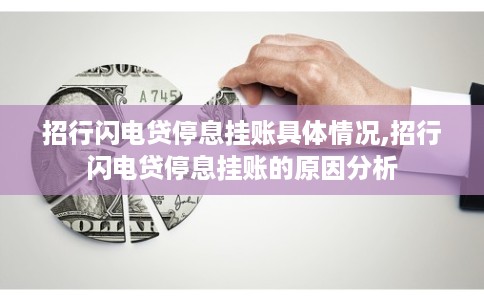 招行闪电贷停息挂账具体情况,招行闪电贷停息挂账的原因分析
