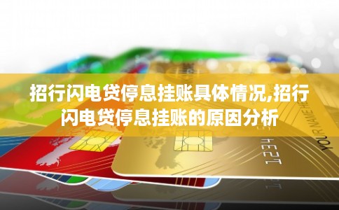 招行闪电贷停息挂账具体情况,招行闪电贷停息挂账的原因分析