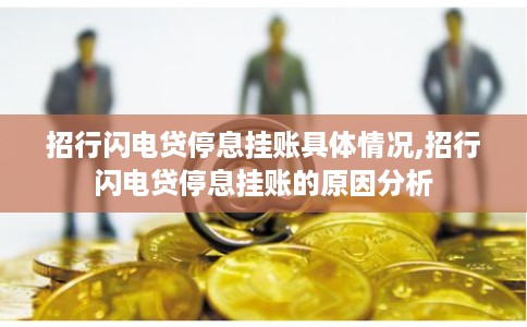 招行闪电贷停息挂账具体情况,招行闪电贷停息挂账的原因分析