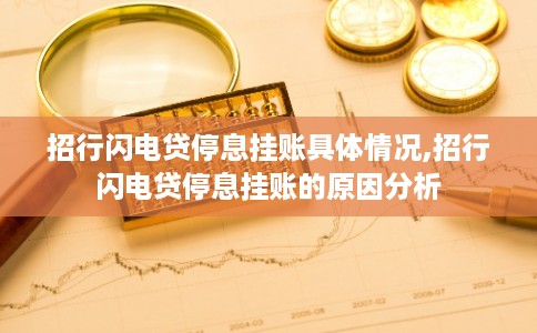 招行闪电贷停息挂账具体情况,招行闪电贷停息挂账的原因分析