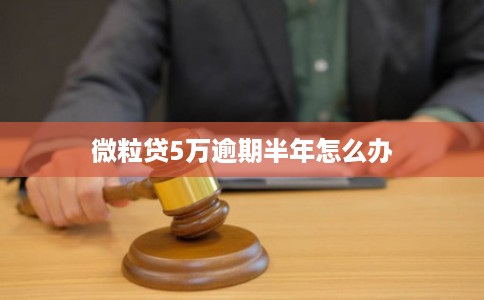 微粒贷5万逾期半年怎么办