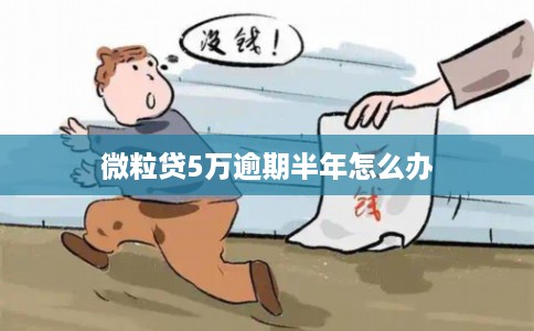微粒贷5万逾期半年怎么办