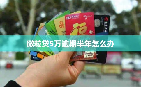 微粒贷5万逾期半年怎么办