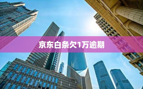 京东白条欠1万逾期