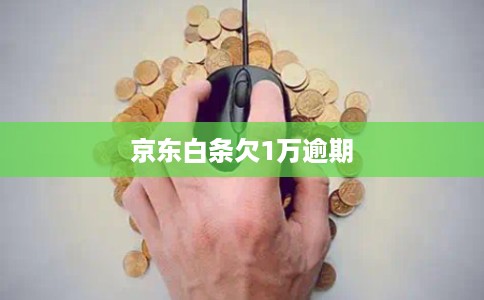 京东白条欠1万逾期