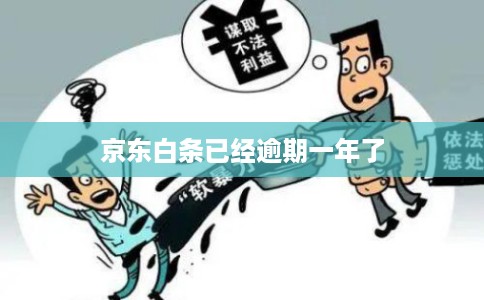 京东白条已经逾期一年了