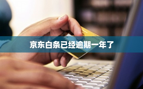 京东白条已经逾期一年了