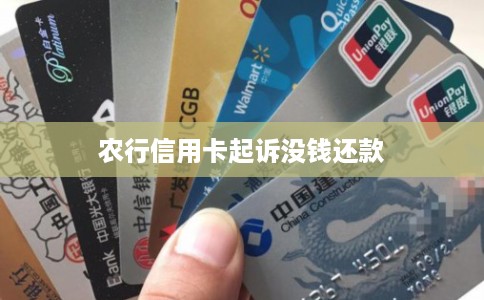 农行信用卡起诉没钱还款