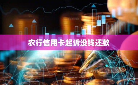 农行信用卡起诉没钱还款