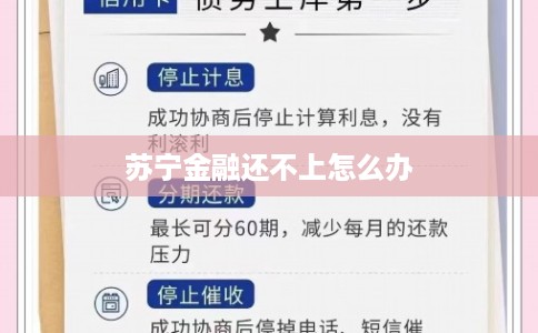 苏宁金融还不上怎么办