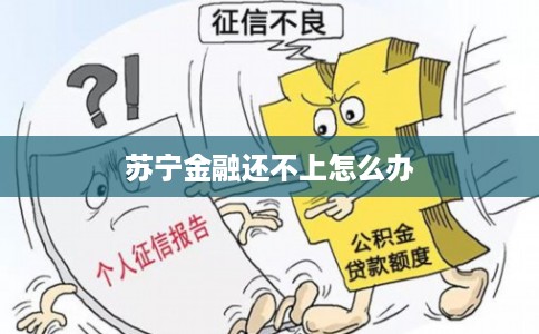 苏宁金融还不上怎么办