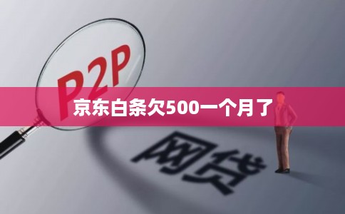 京东白条欠500一个月了