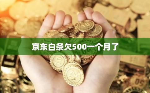 京东白条欠500一个月了