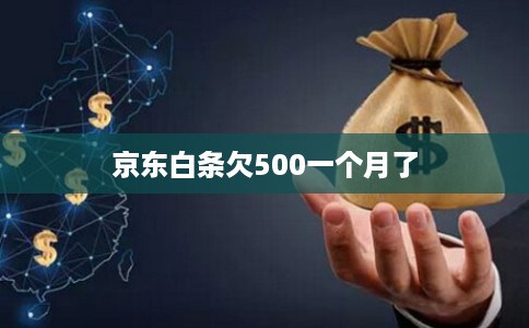 京东白条欠500一个月了
