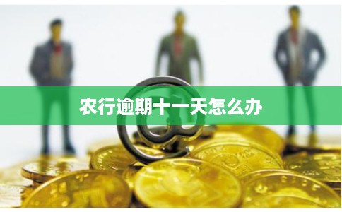 农行逾期十一天怎么办