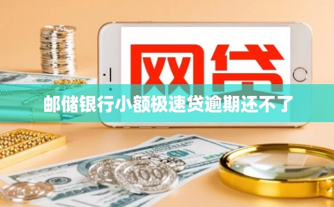 邮储银行小额极速贷逾期还不了