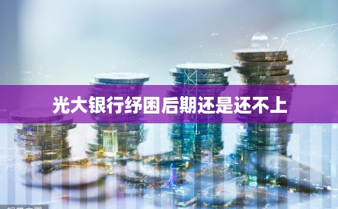 光大银行纾困后期还是还不上